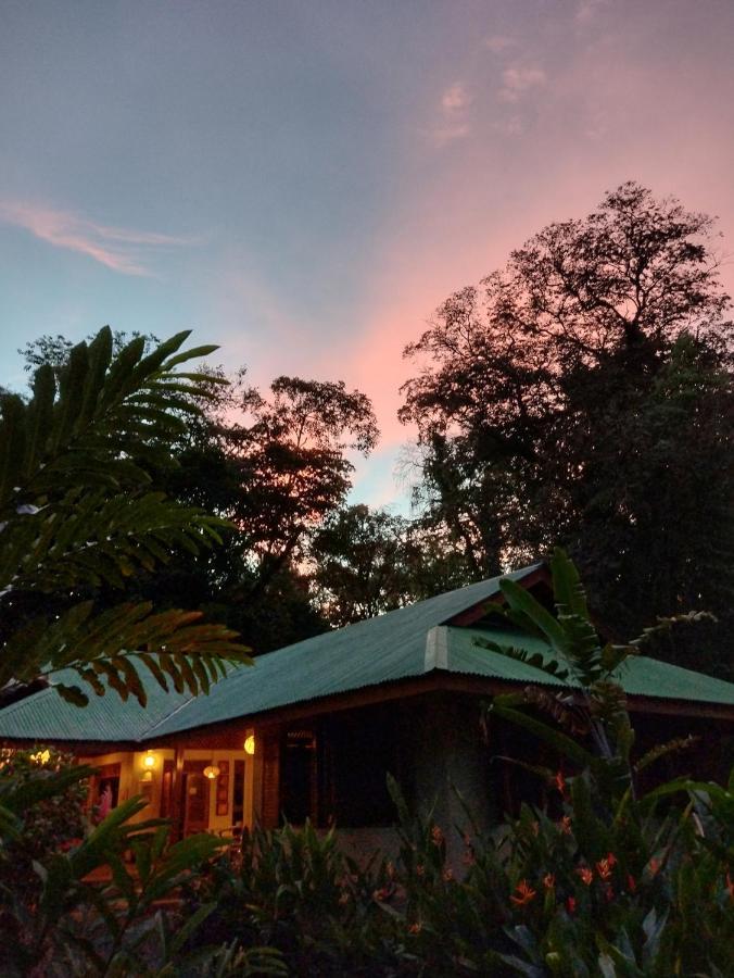 Geckoes Lodge Cocles Exteriör bild