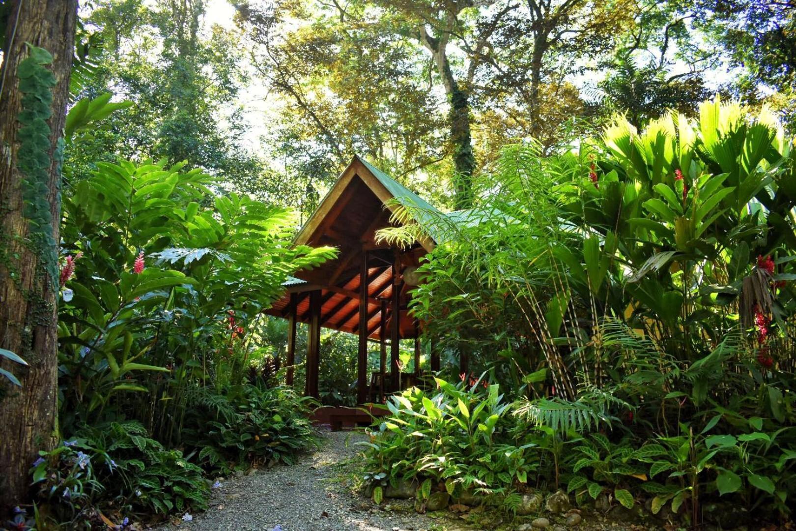 Geckoes Lodge Cocles Exteriör bild