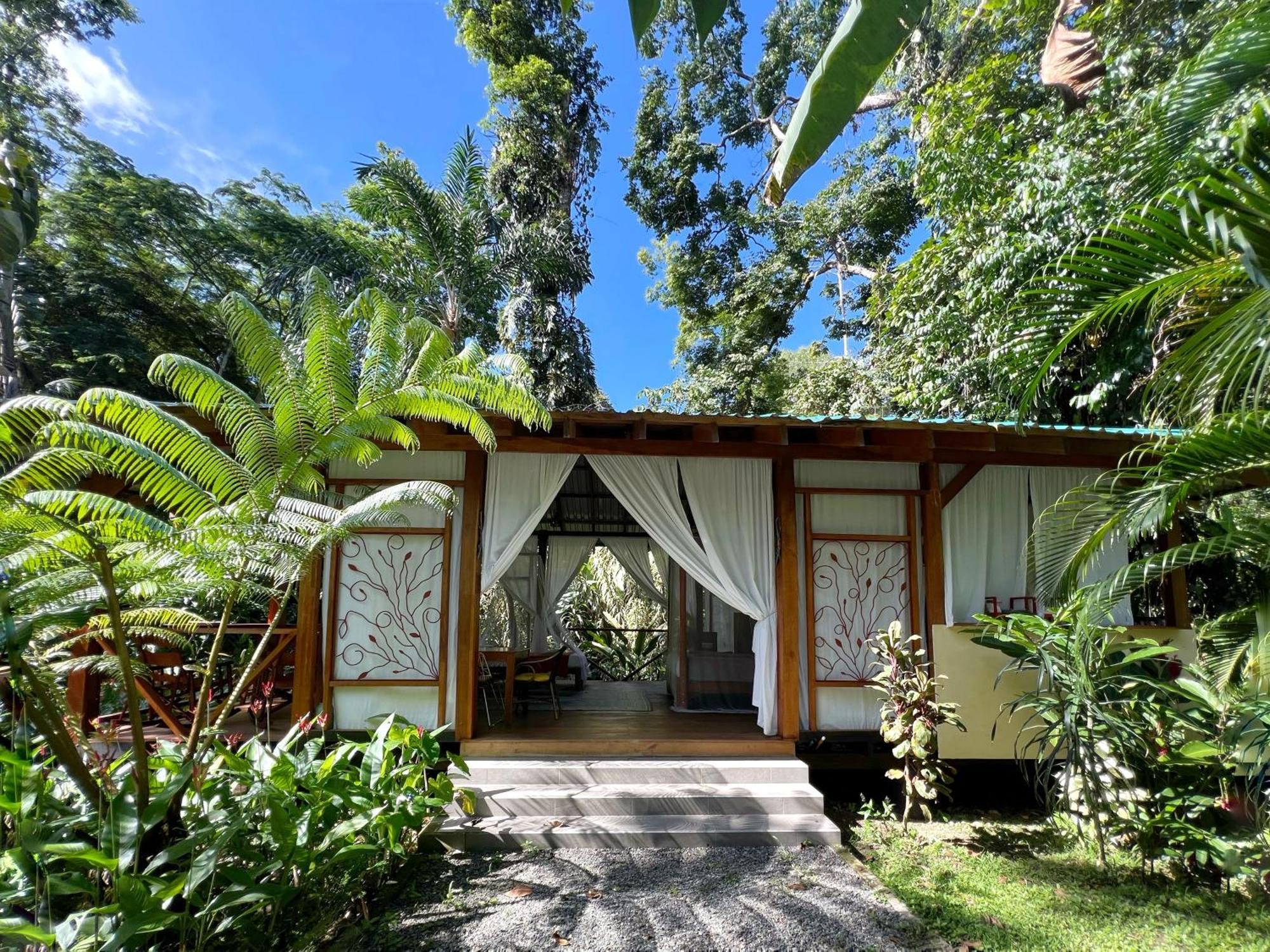 Geckoes Lodge Cocles Exteriör bild