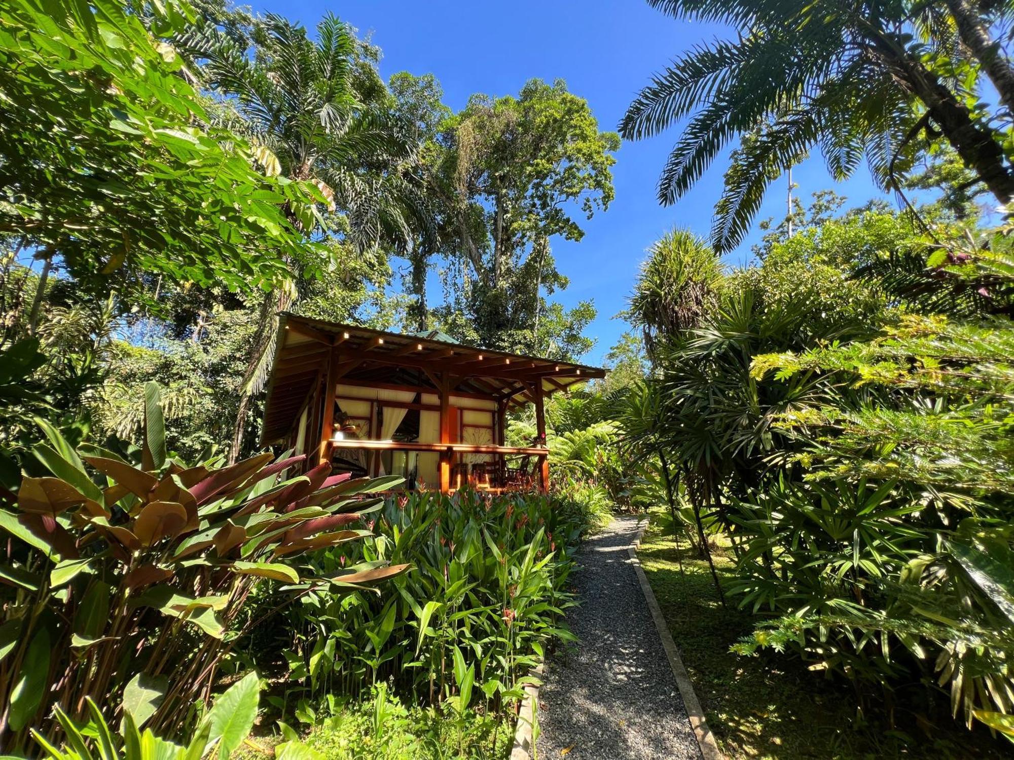 Geckoes Lodge Cocles Exteriör bild