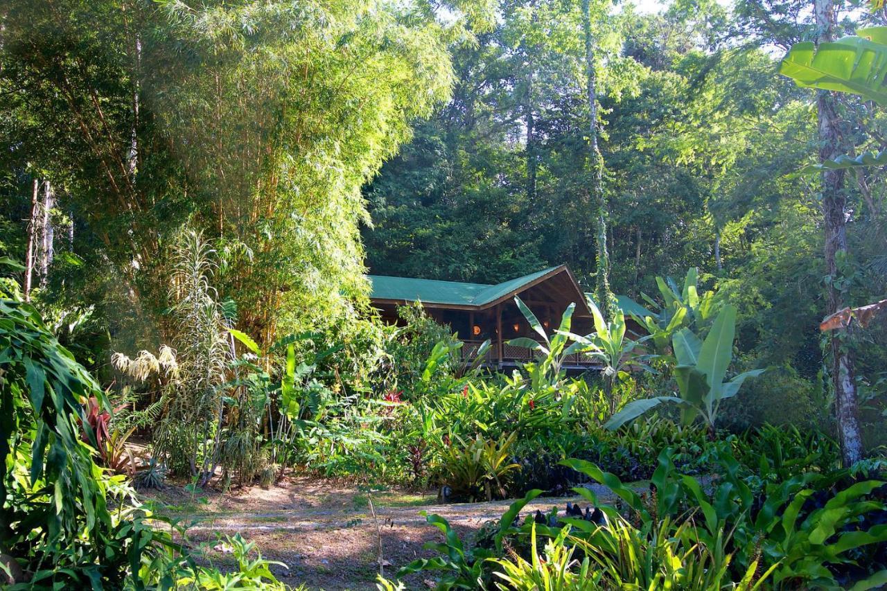 Geckoes Lodge Cocles Exteriör bild