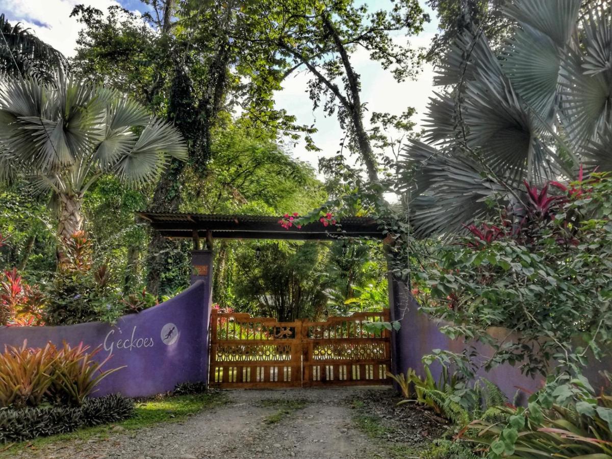 Geckoes Lodge Cocles Exteriör bild