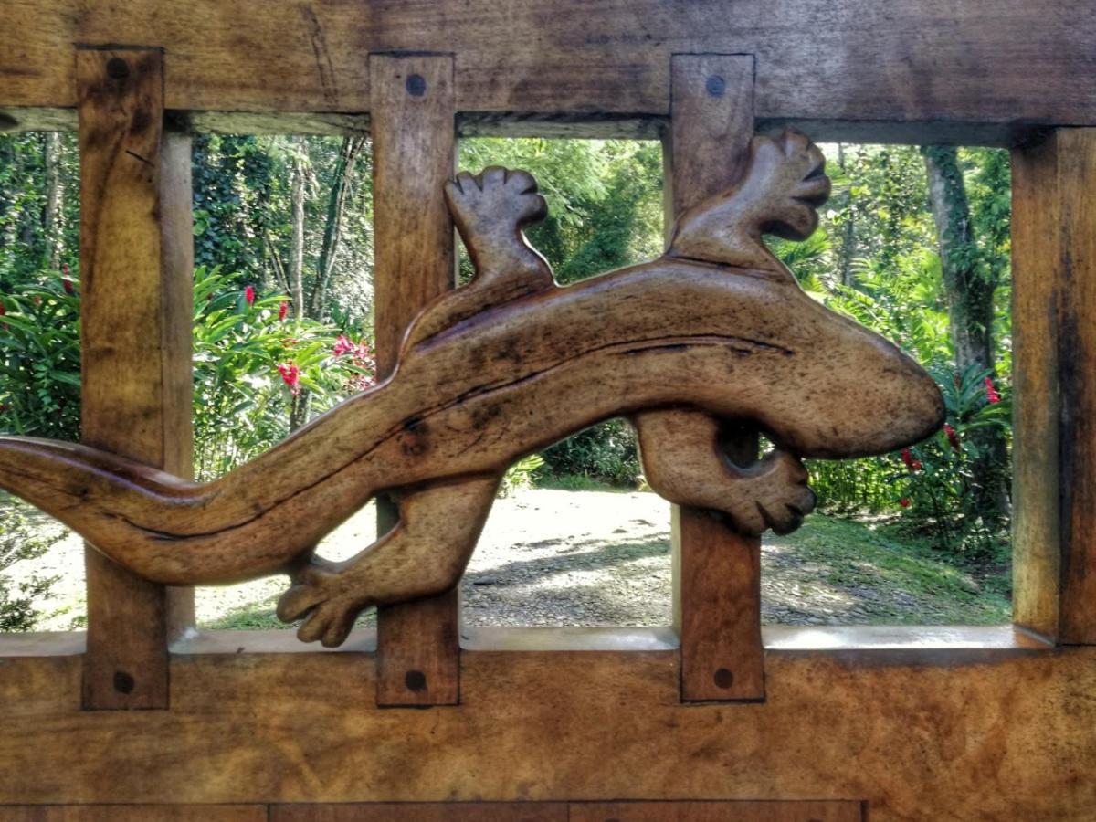 Geckoes Lodge Cocles Exteriör bild